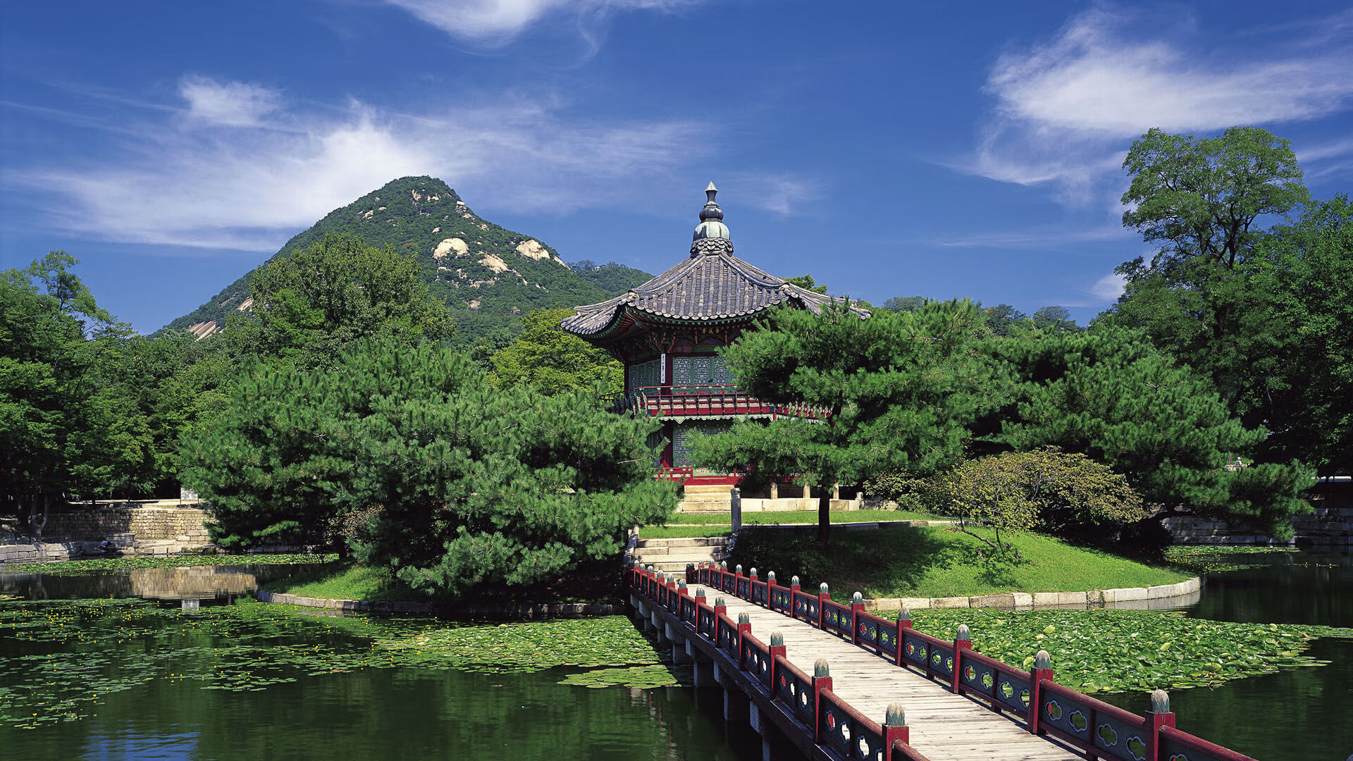 2026年世界短道速滑锦标赛 中国队在接力项目强势反弹，2021世界短道速滑比赛时间