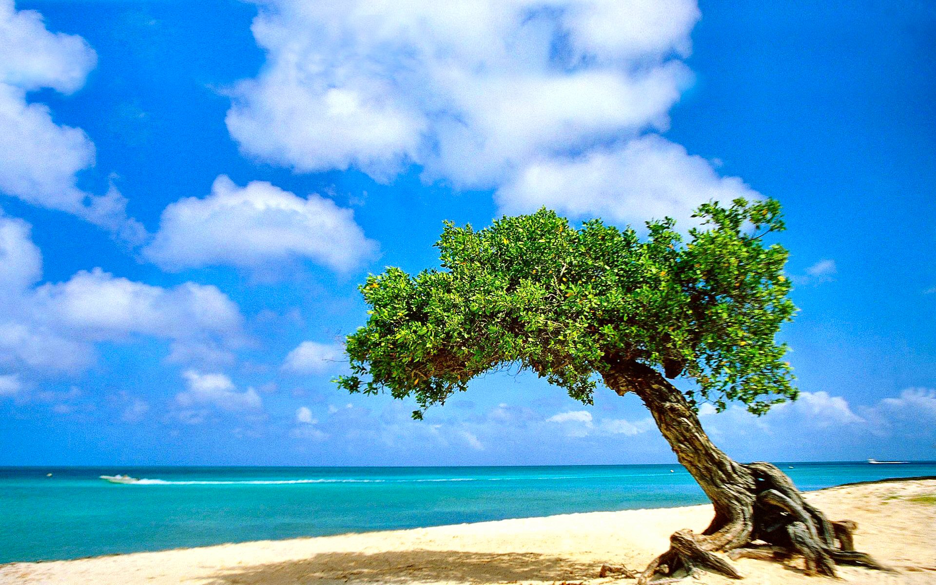 世界保龄球社区推广月志愿者技能提升第18批开班通知,世界保龄球联合会